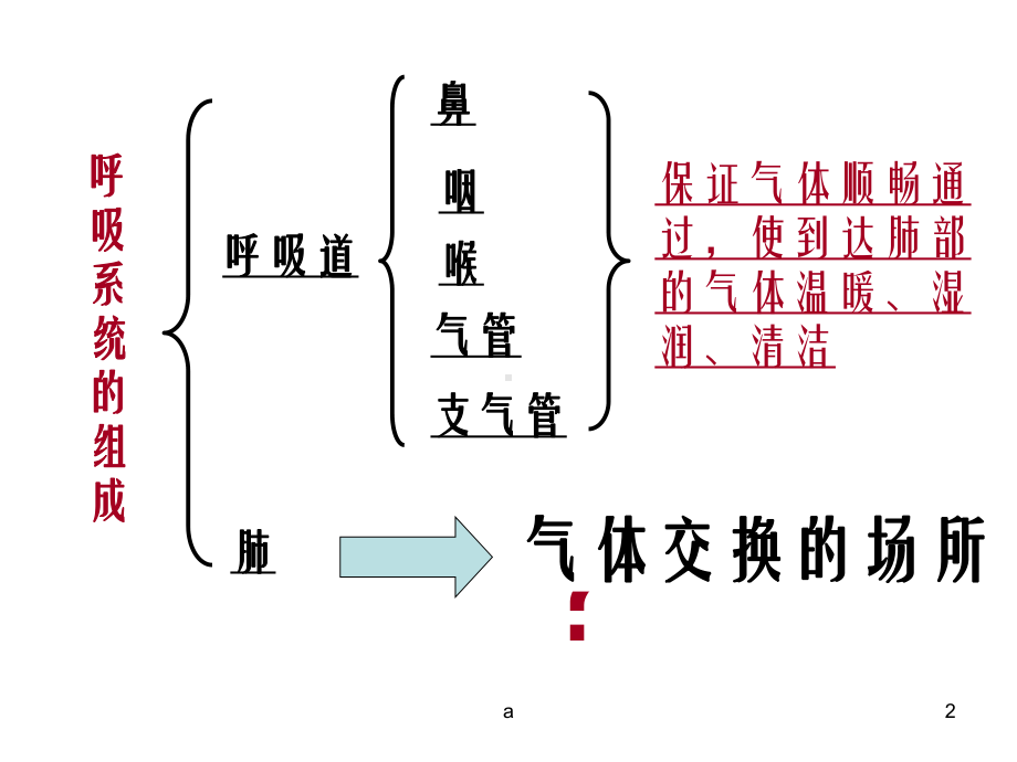 人教版生物七年级下册课件.ppt_第2页