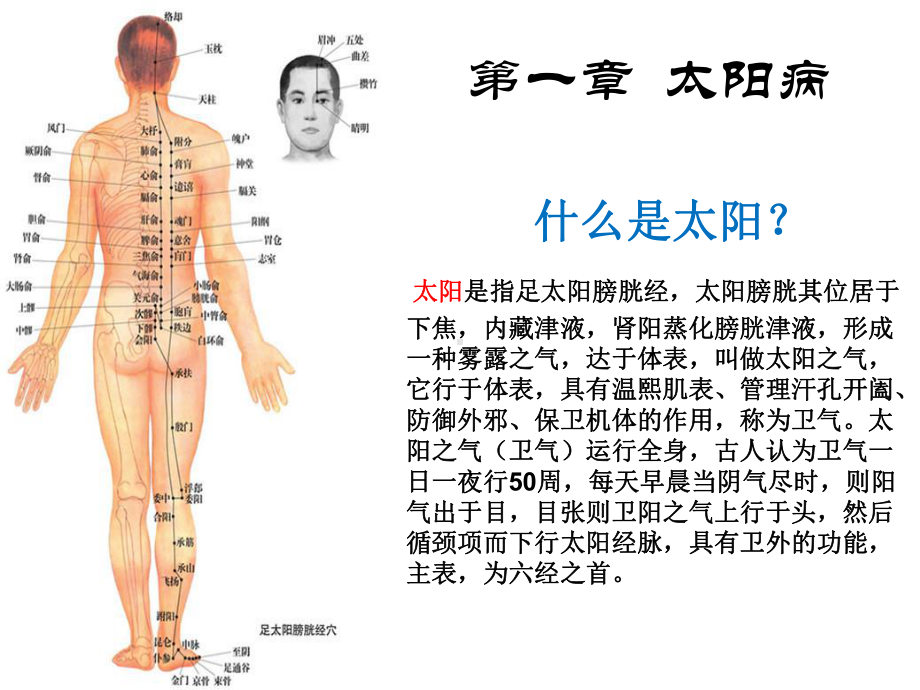 伤寒杂病论：太阳病篇课件.ppt_第3页