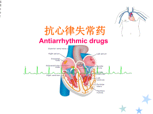 抗心律失常药课件.ppt