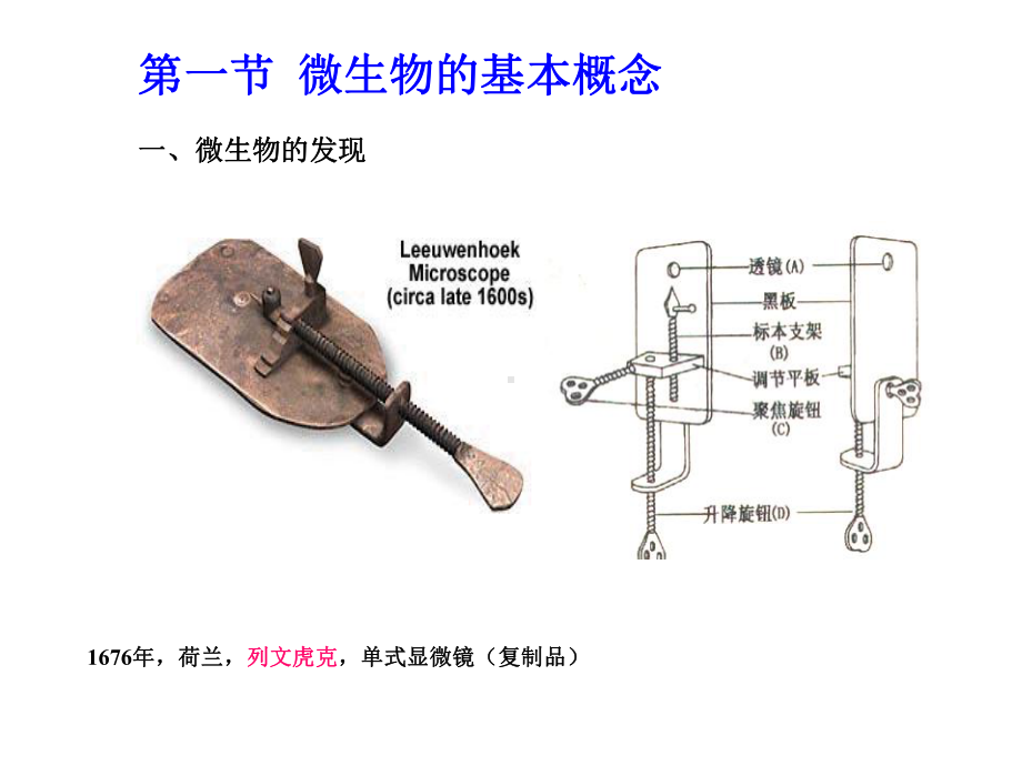 微生物学第一章绪论课件.pptx_第3页