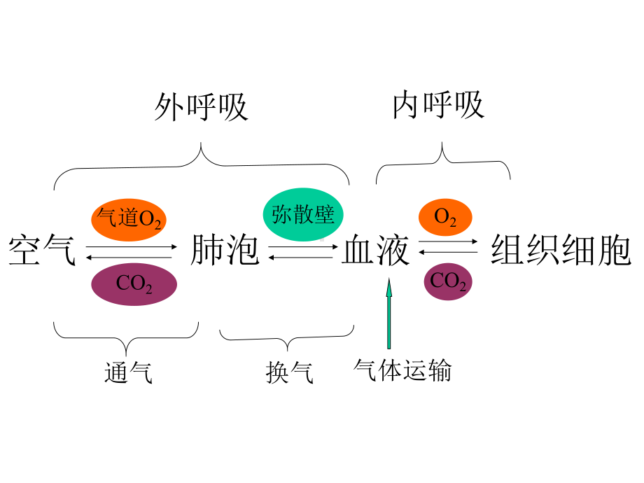 病理生理第16章-呼吸衰竭课件.ppt_第2页