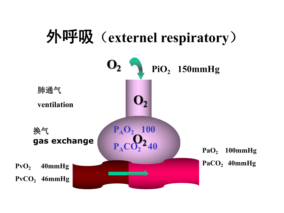 病理生理第16章-呼吸衰竭课件.ppt_第3页