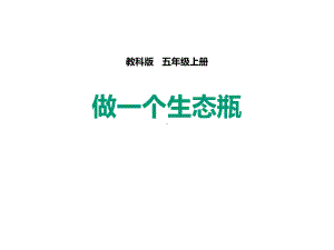 教科版五年级科学上册做一个生态瓶课件.pptx