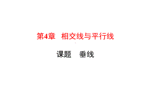 湘教版7下数学垂线课件.ppt