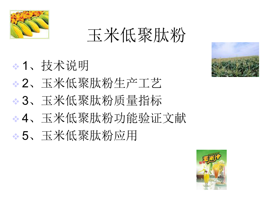 玉米低聚肽粉课件.ppt_第2页