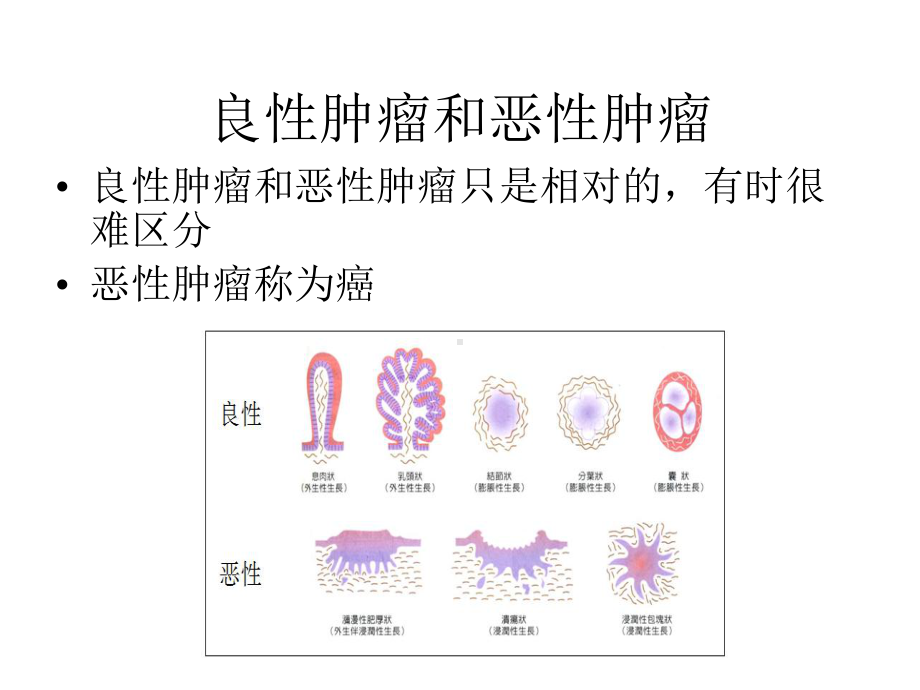 甲基化基因检测与肿瘤早期发现课件.pptx_第2页