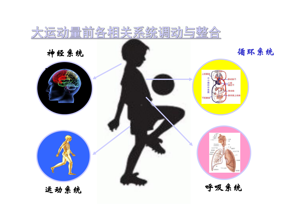 幼儿体育活动培训课件.ppt_第2页