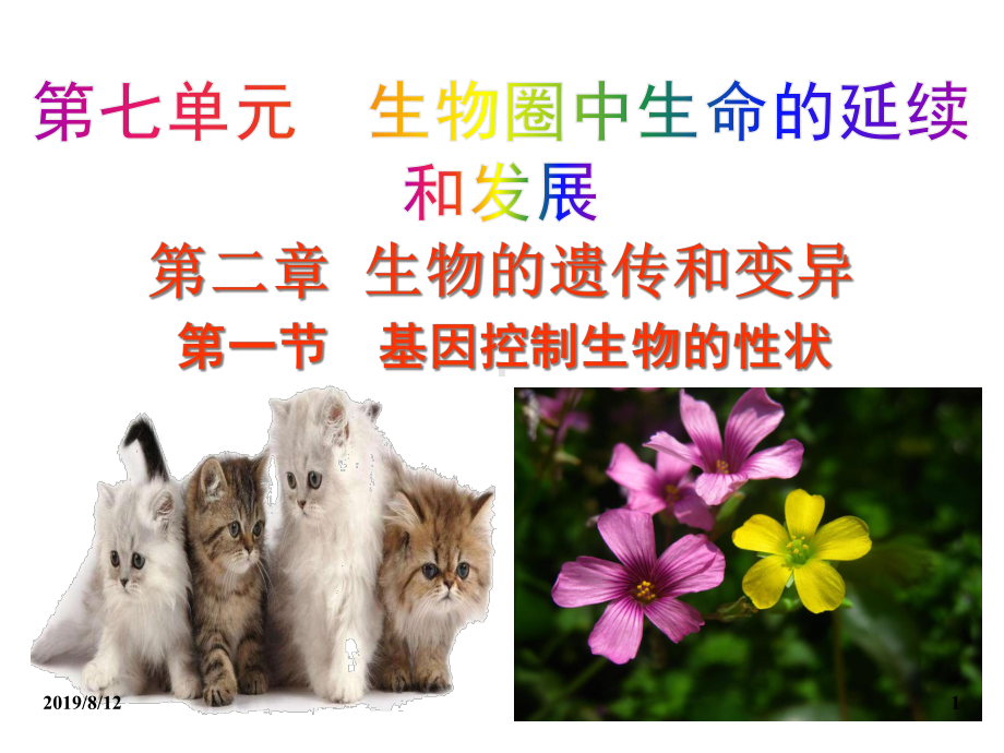 721基因控制生物的性状课件.ppt_第1页