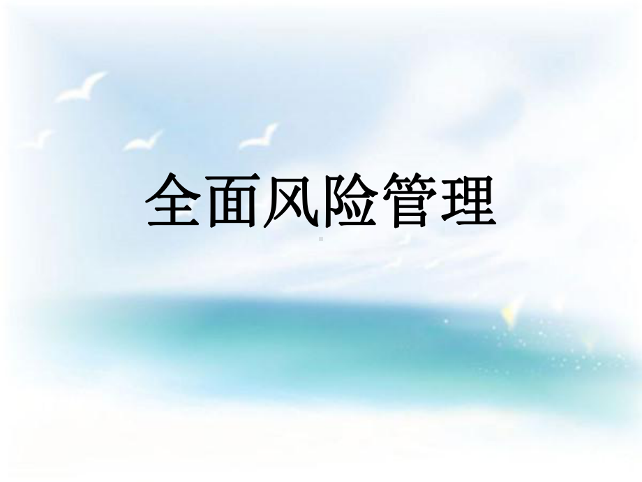 全面风险管理课件.ppt_第1页