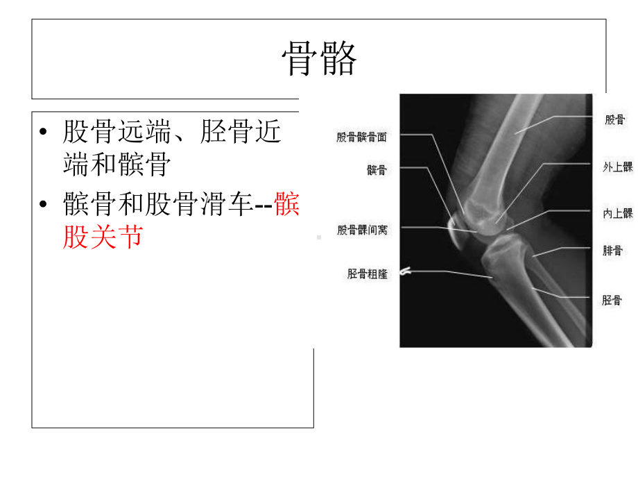 关节腔灌洗联合臭医学课件.ppt_第3页