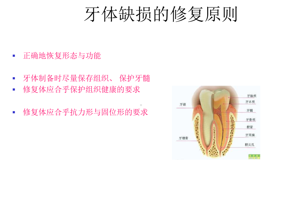 牙体缺损的修复原则课件.ppt_第3页