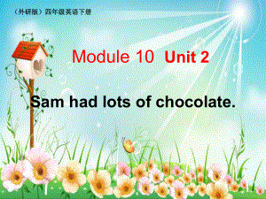 小学四年级下册英语Unit2Samhadlotsofchocolate课件.ppt（无音视频素材）