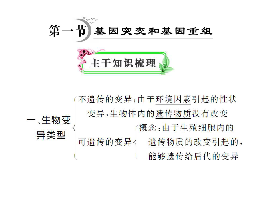 基因突变和基因重组正式版课件.ppt_第2页