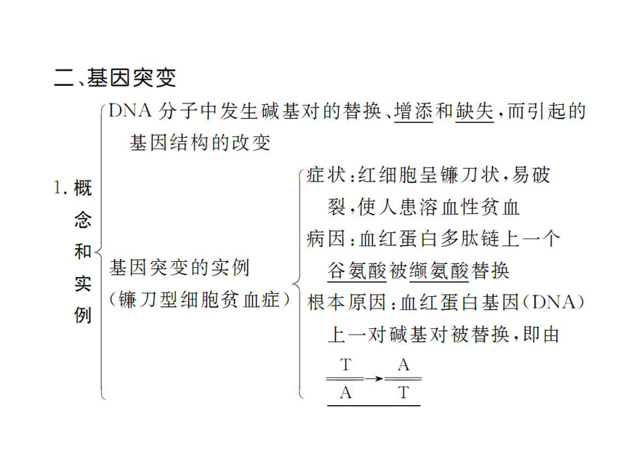 基因突变和基因重组正式版课件.ppt_第3页