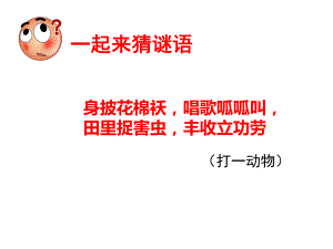 微课《两栖动物的生殖和发育》课件.ppt