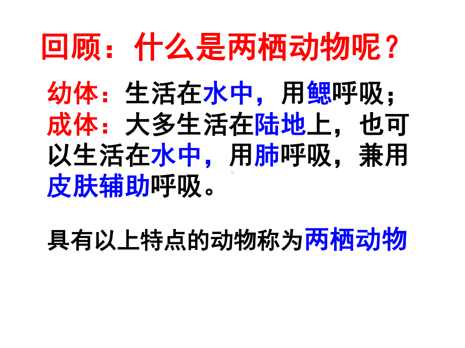 微课《两栖动物的生殖和发育》课件.ppt_第3页