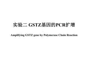 实验二GSTZ基因的PCR扩增课件.ppt