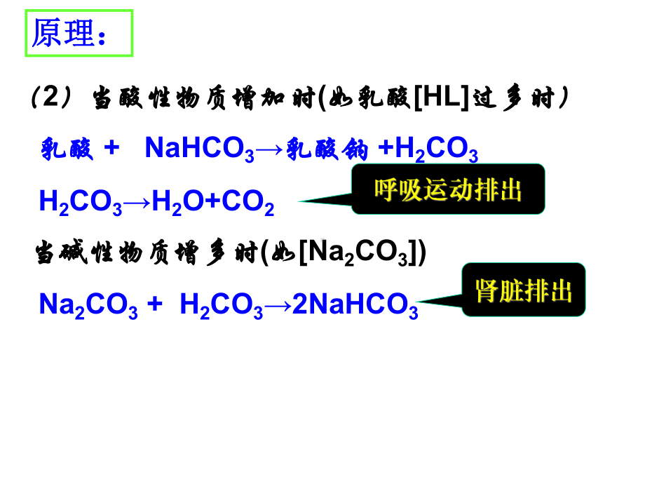 生物体维持PH稳定的机制实验课件.ppt_第3页