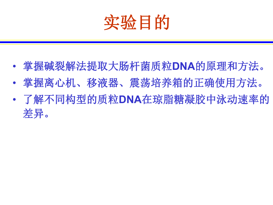 实验六、大肠杆菌质粒DNA的提取与电泳检测课件.ppt_第2页