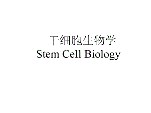 干细胞生物学精选课件.ppt