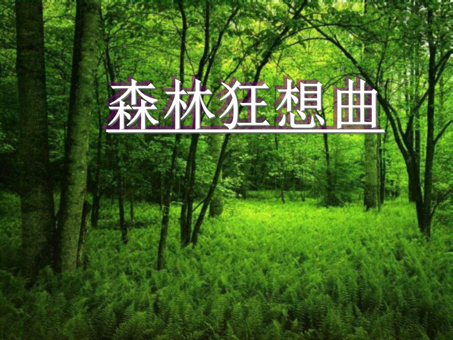 四年级音乐下册森林狂想曲人音版课件.ppt（无音视频素材）_第1页