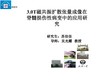 扩散张量成像在脊髓损伤中的应用医学课件.ppt