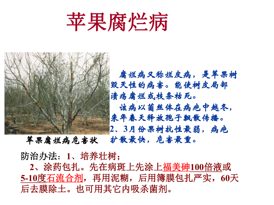 现代苹果病虫害防治技术课件.ppt_第3页