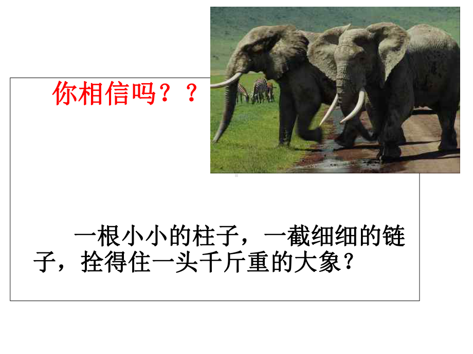 小和尚的剃头刀课件.ppt_第2页