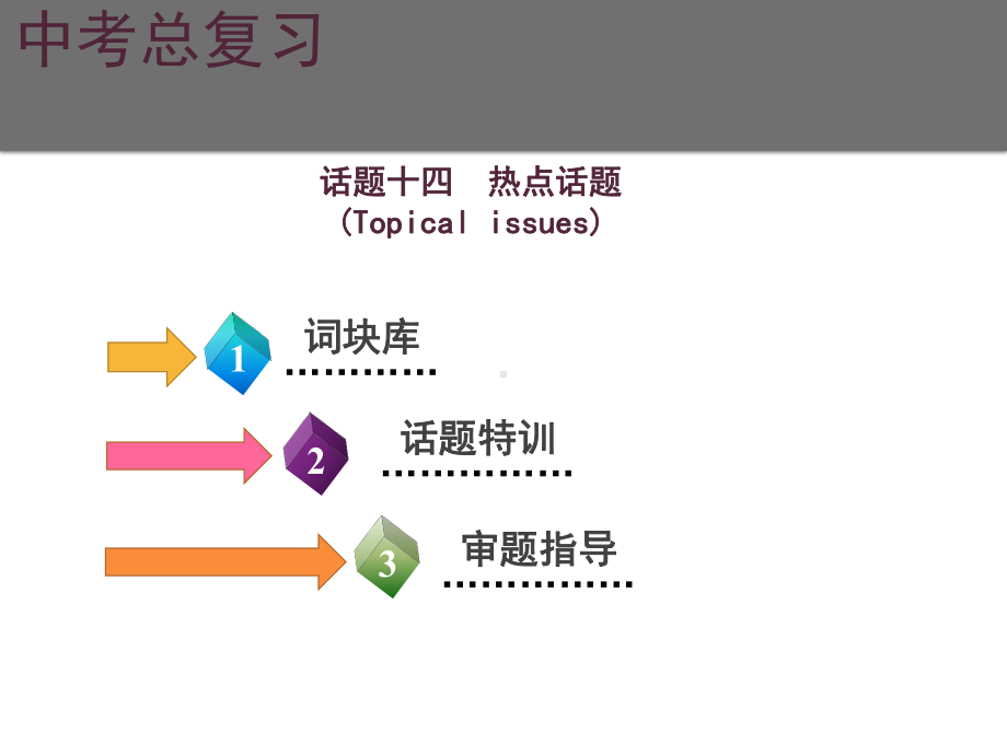 2021年广东中考英语二轮复习生活话题集训课件话题十四热点话题.ppt_第2页