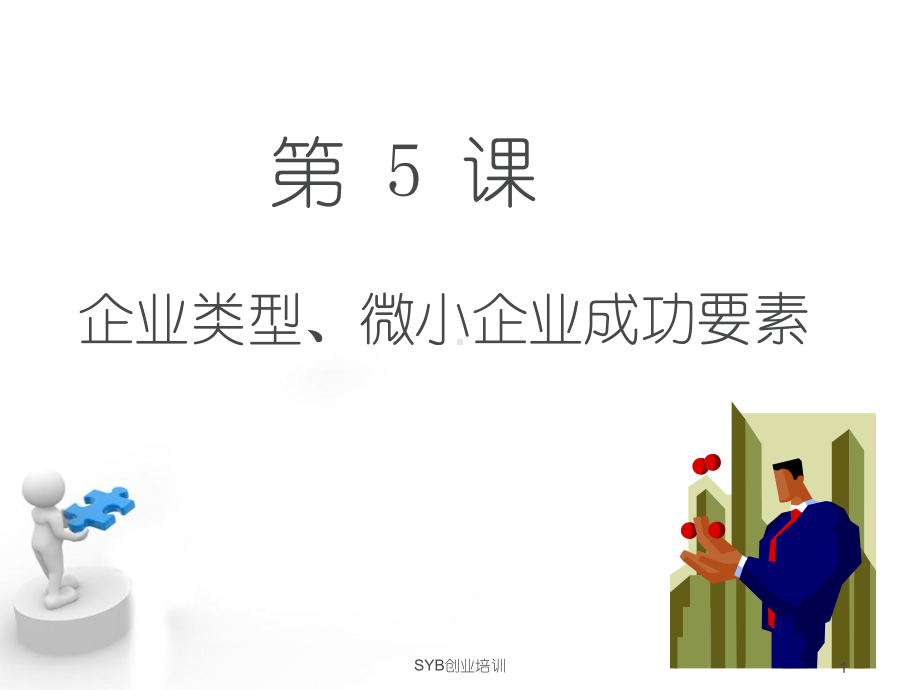 企业类型、微小企业成功要素课件.ppt_第1页