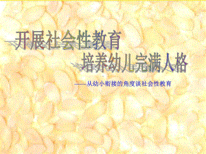 从幼小衔接的角度谈社会性教育(“幼儿”相关)共25张课件.pptx