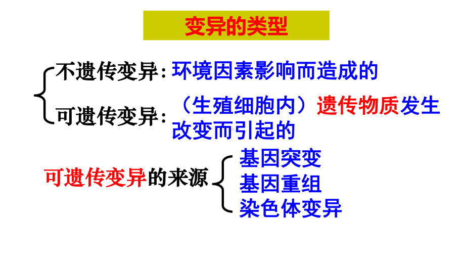 基因突变和基因重组基础复习课件.ppt_第2页