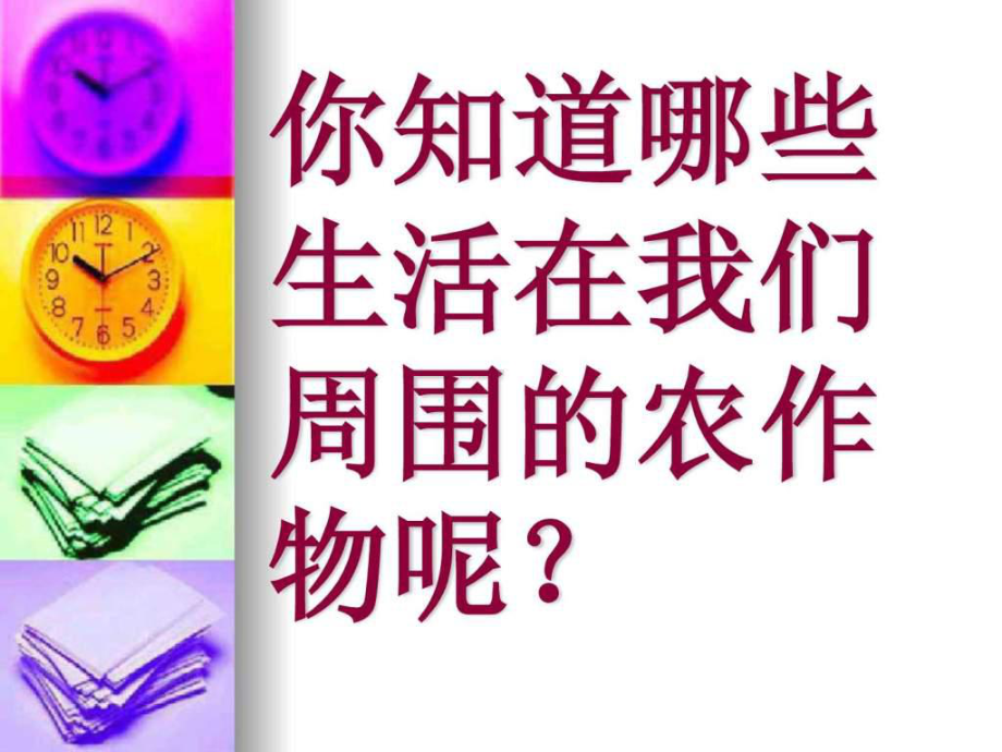 常见的农作物-课件.ppt_第2页