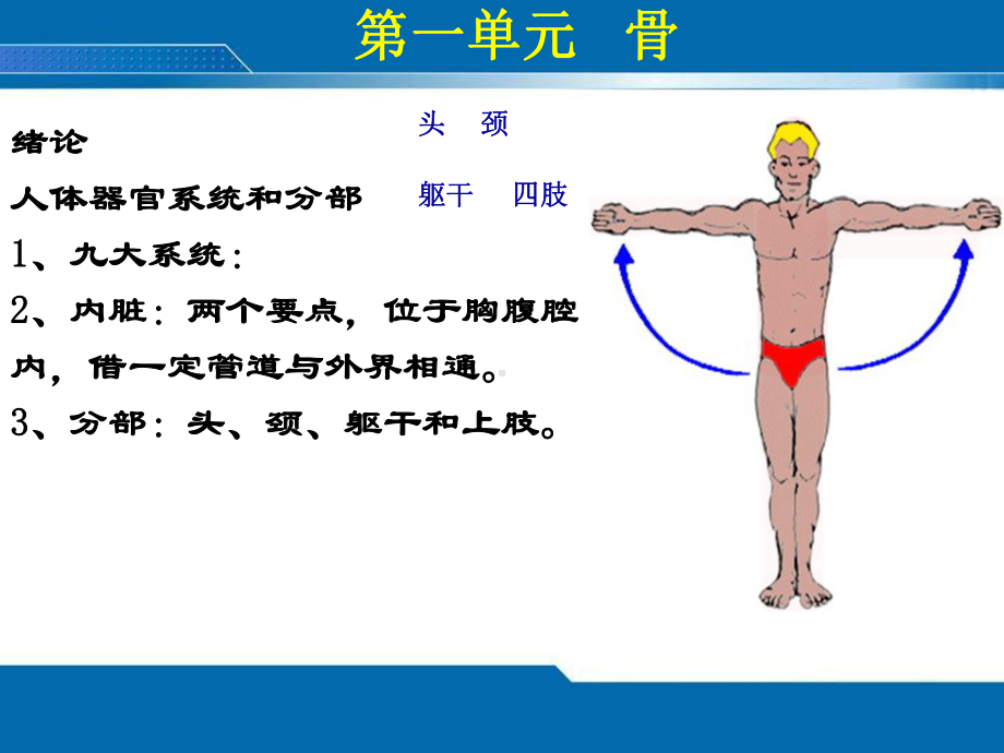 保健按摩师解剖学内容医学课件.ppt_第2页