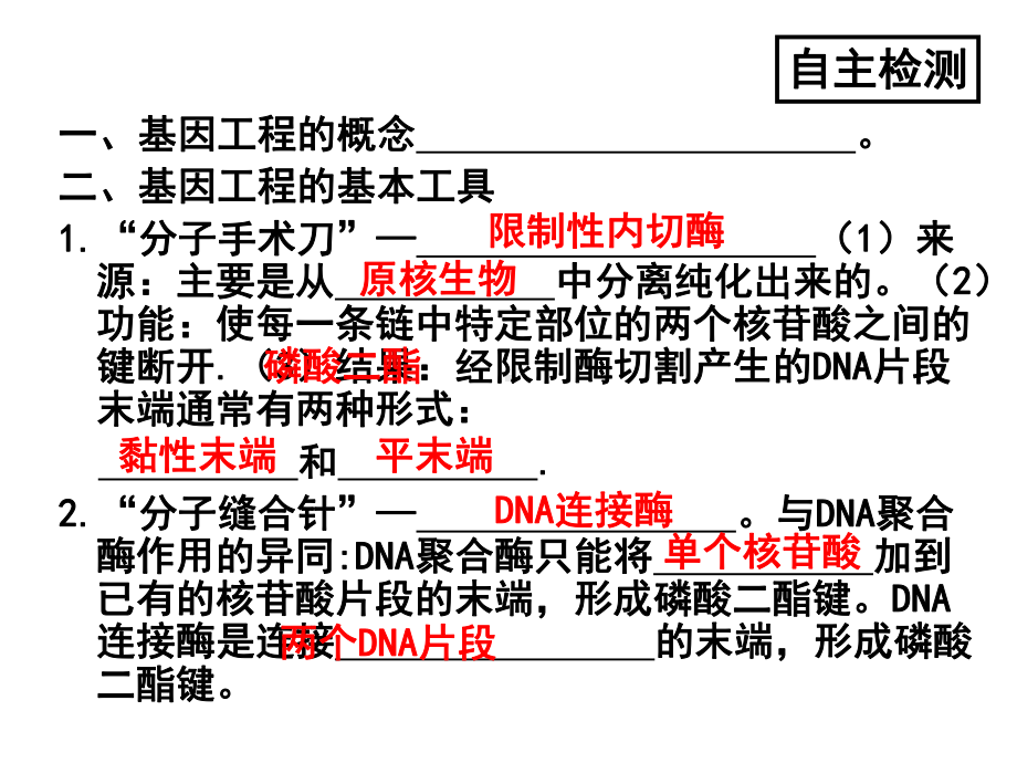 基因工程复习课课件.ppt_第2页