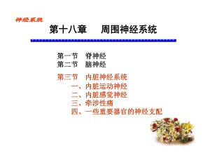 周围神经系统植物神经共42张课件.ppt