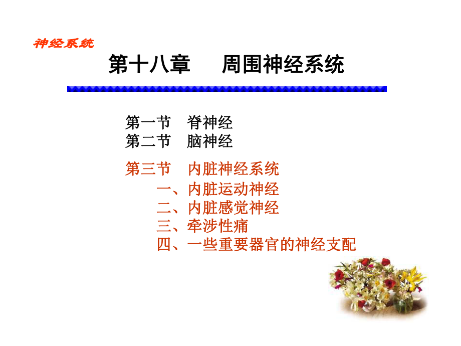 周围神经系统植物神经共42张课件.ppt_第1页