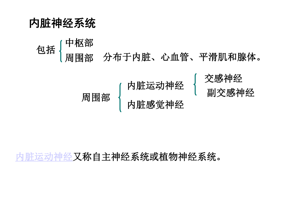 周围神经系统植物神经共42张课件.ppt_第3页