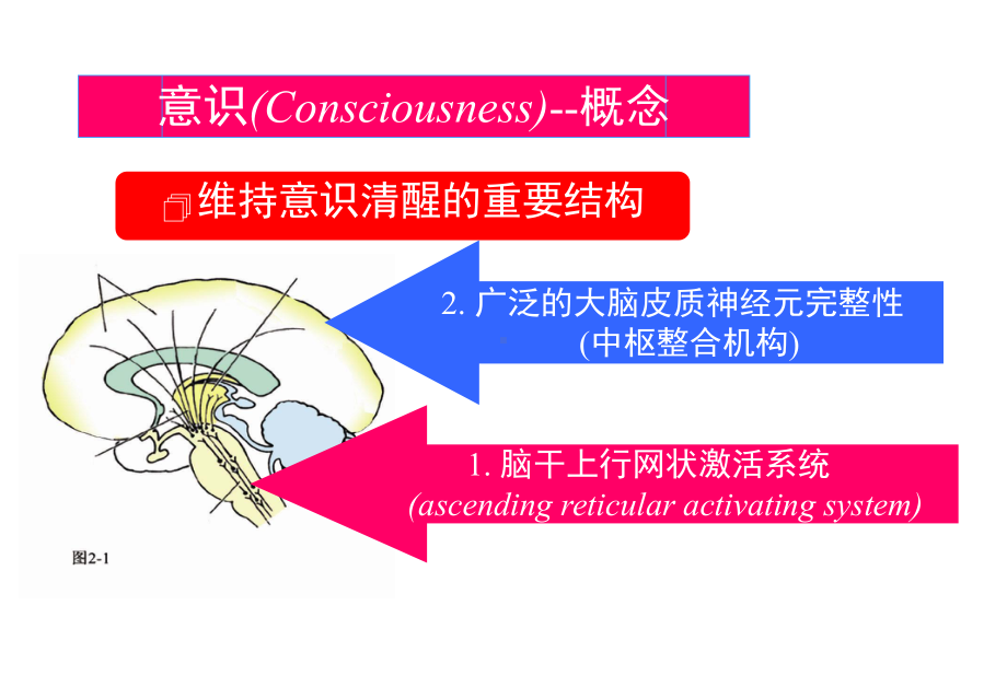 意识障碍分级周晓晖课件.ppt_第2页