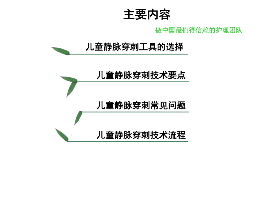 小儿静脉穿刺课件.ppt_第2页