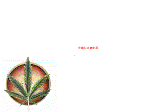 大麻及大麻制品课件.ppt