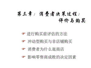 消费者决策过程：评价与购买课件.ppt