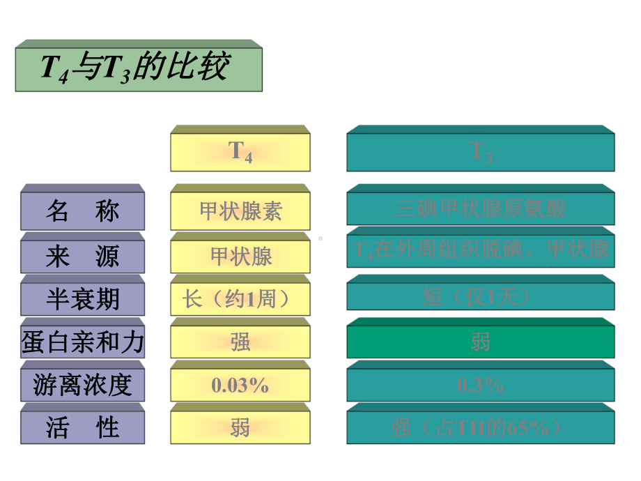 甲状腺机能亢进症诊治策略课件.ppt_第2页