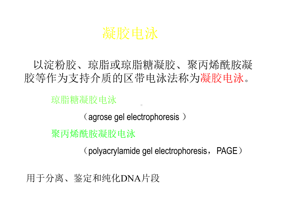 电泳技术及其在分子生物学中的应用课件.ppt_第3页