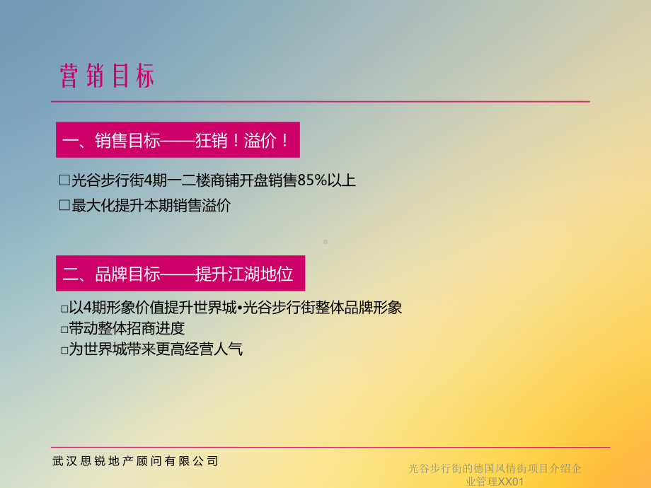 光谷步行街的德国风情街项目介绍企业管理XX01课件.ppt_第3页