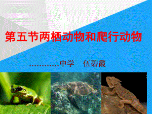 公开课两栖动物和爬行动物课件.ppt