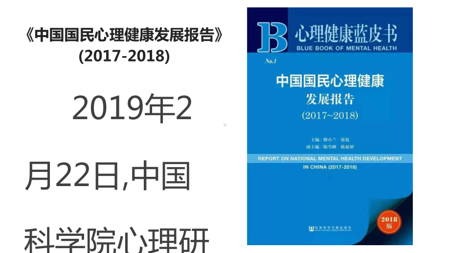 心理健康蓝皮书课件.ppt_第2页