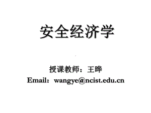 安全经济学第二章课件.ppt