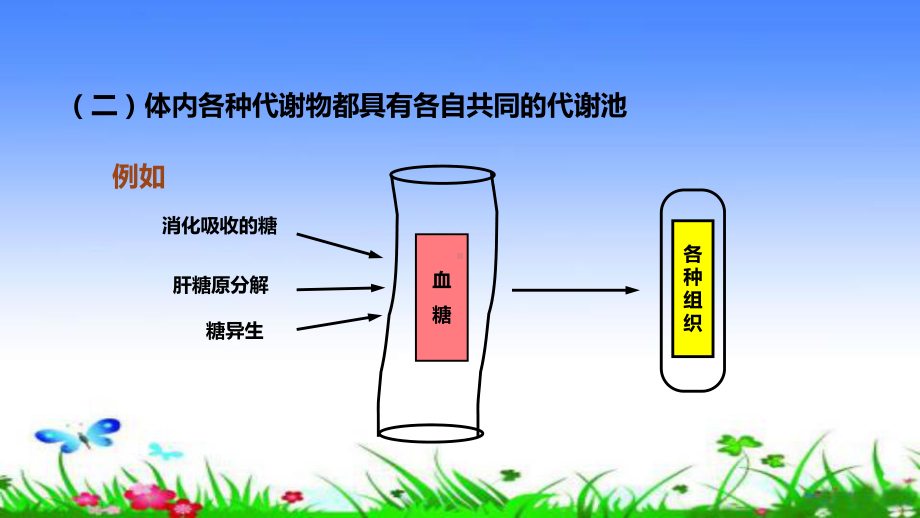 代谢的整体性课件.pptx_第3页