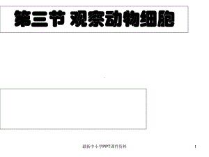 七年级生物上册第二单元第一章第三节动物细胞课件新版新人教版.ppt